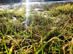 В первую пятницу весны в Волгодонске будет ветрено и пасмурно 