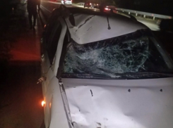  Водитель «Приоры» на большой скорости сбил насмерть пешехода около рыбозаградителя в Волгодонском районе