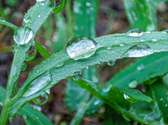 Небольшой дождь ожидается сегодня в Волгодонске 