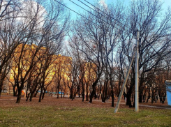 До +19 прогреется воздух в Волгодонске в День смеха