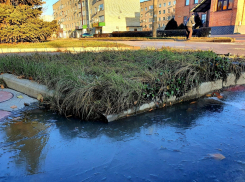Ветреный и морозный четверг будет в Волгодонске