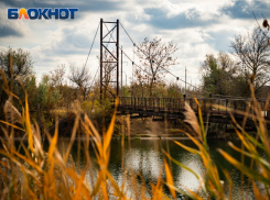 Ветер перестанет бушевать в Волгодонске 20 ноября