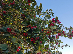 Сегодня Волгодонск будет ясным и солнечным