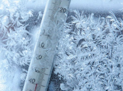 Как сильные морозы помогут сэкономить волгодонцам на походе в ресторан