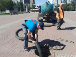 Фонтан осушили, ямы латают, камыш покосили: коммунальщики преображают город