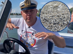 Сотни тысяч молодых бычков стали жертвами «мертвого штиля» на Цимлянском водохранилище