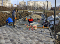 В Молодежном парке грядут большие посадки