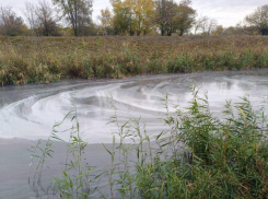 «Нашим предкам река Быстрая дала жизнь – а мы превратили ее в убийцу!»: жители в ужасе от экологического коллапса водоема