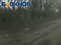 Я плачу налог за машину 12 000 рублей и хочу ездить по хорошим дорогам, - житель Цимлянска 