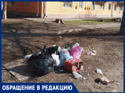 «Люди из МКД на Советской устроили помойку род собственными окнами рядом с квартирой депутата»: жительница коттеджа 