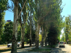 Утром возможен дождик, а днем вернется жара: о погоде в четверг