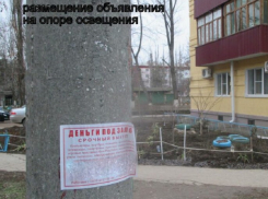 Чаще всего волгодонцы попадались на расклейке афиш и объявлений на столбах