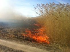 Количество ландшафтных пожаров в Волгодонске увеличилось в четыре раза