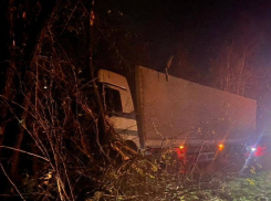 Водитель грузовика из-за сердечного приступа врезался в дерево на трассе Цимлянск - Шахты