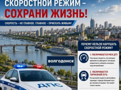 42 аварии с начала года: ГИБДД Волгодонска назвало главные причины ДТП