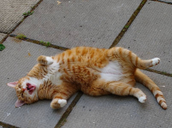 До +30 и ясно: О погоде на 5 июля