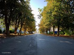 Утро четверга обещает быть дождливым 