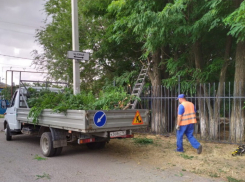 Автомобилисты Волгодонска помогли администрации найти закрытые листвой дорожные знаки