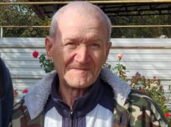 Живым найден без вести пропавший 76-летний житель Мартыновского района 