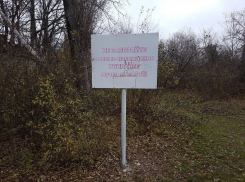 В Волгодонске закрыли для посещения людьми до 5% территории города