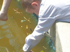 Волгодонцы жалуются на плачевное состояние парка «Юность»