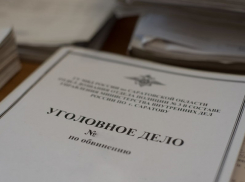 Глава транспортной компании в Волгодонском районе возил детей-сирот бесплатно только на бумажке