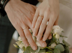 Меньше разводятся и реже меняют имена: ЗАГС Волгодонска подвел итоги декабря 2025 года