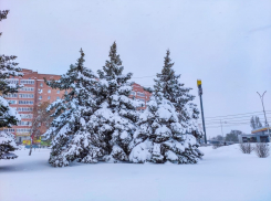 В Международный мужской день в Волгодонске будет небольшой мороз 