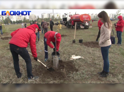 Как сажали деревья в волгодонском парке «Молодежный»