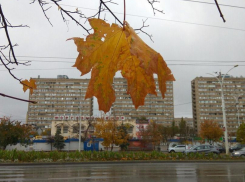 Пронизывающий ветер и значительная облачность: Какой будет погода сегодня