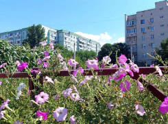Жарким и солнечным будет четверг в Волгодонске