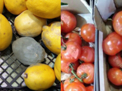 Серые гнилые лимоны и вялые помидоры: Предновогоднее «волшебство» в магазинах Волгодонска