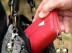 Молодой волгодонец средь бела дня украл деньги у пожилой дачницы