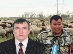 Беспредел в хуторе Петухов: как судья может оставить людей без пастбища и средств к существованию 