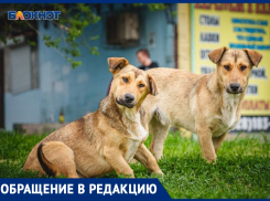 «Пора изгнать собачников из школ и с детских площадок»: молодой отец из Волгодонска
