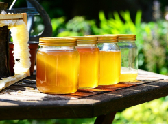 Бесплатная доставка меда и пчелопродуктов от «Семейной пасеки Егоровых»