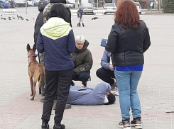 Лошадь ударила в грудь волгодончанку на площади Победы 