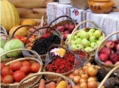 Фермеры и крестьяне могут привезти в Волгодонск дешевые продукты питания
