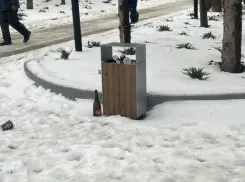 Пешеходный бульвар вдоль сквера «Дружба» превращается в «пьяный»: коммунальщики собирают полные урны пустых бутылок  