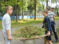 В Морозовске директор школы насильно заставил убирать учащихся  школьный двор