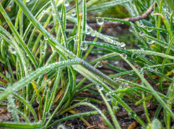 В первой половине дня - дождь, во второй - солнце: о погоде в Волгодонске