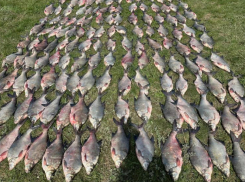 Троих браконьеров с уловом на 600 000 рублей задержали полицейские в акватории Цимлянского водохранилища