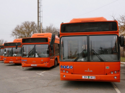 На улицы Волгодонска вышли новые оранжевые автобусы 