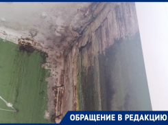 «Зонт открываем еще на выходе из квартиры»: в Волгодонске затопило подъезд многоквартирного дома