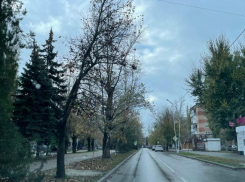 Пасмурным и морозным будет четверг в Волгодонске