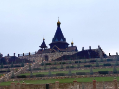 Посетители парка «Лога» в Ростовской области прокачали 3,5 Тб интернет-трафика