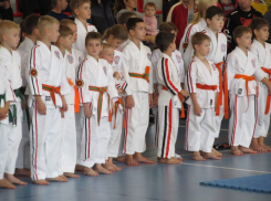 Волгодонцы успешно выступили на международном турнире по контактному косики каратэ 