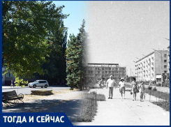 Волгодонск тогда и сейчас: улица 50 лет СССР без деревьев