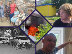 Страшный пожар, дом с большими трещинами и стаи собак: главные новости недели