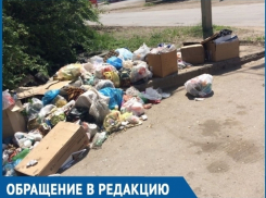 Жители улицы Степной в Волгодонске зарастают мусором из-за отсутствия контейнеров